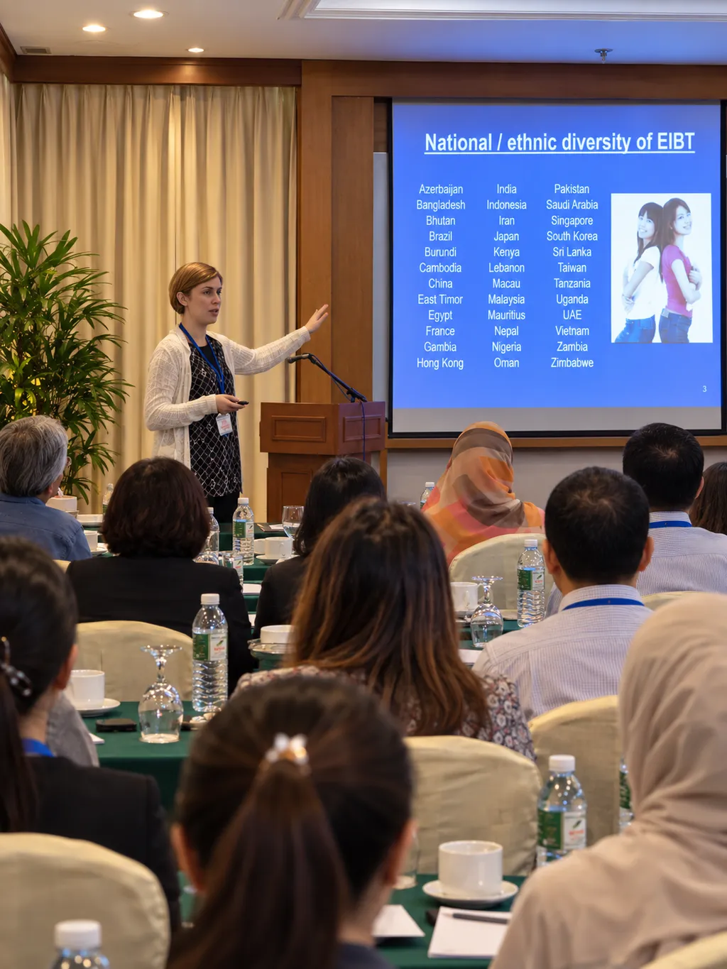 Donna presenting to a conference audience